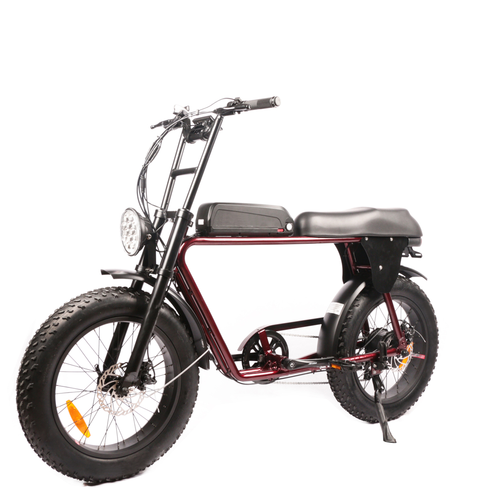 Vélos électriques à double mot - Dual Motor Electric Motorcycle Frame avis et prix